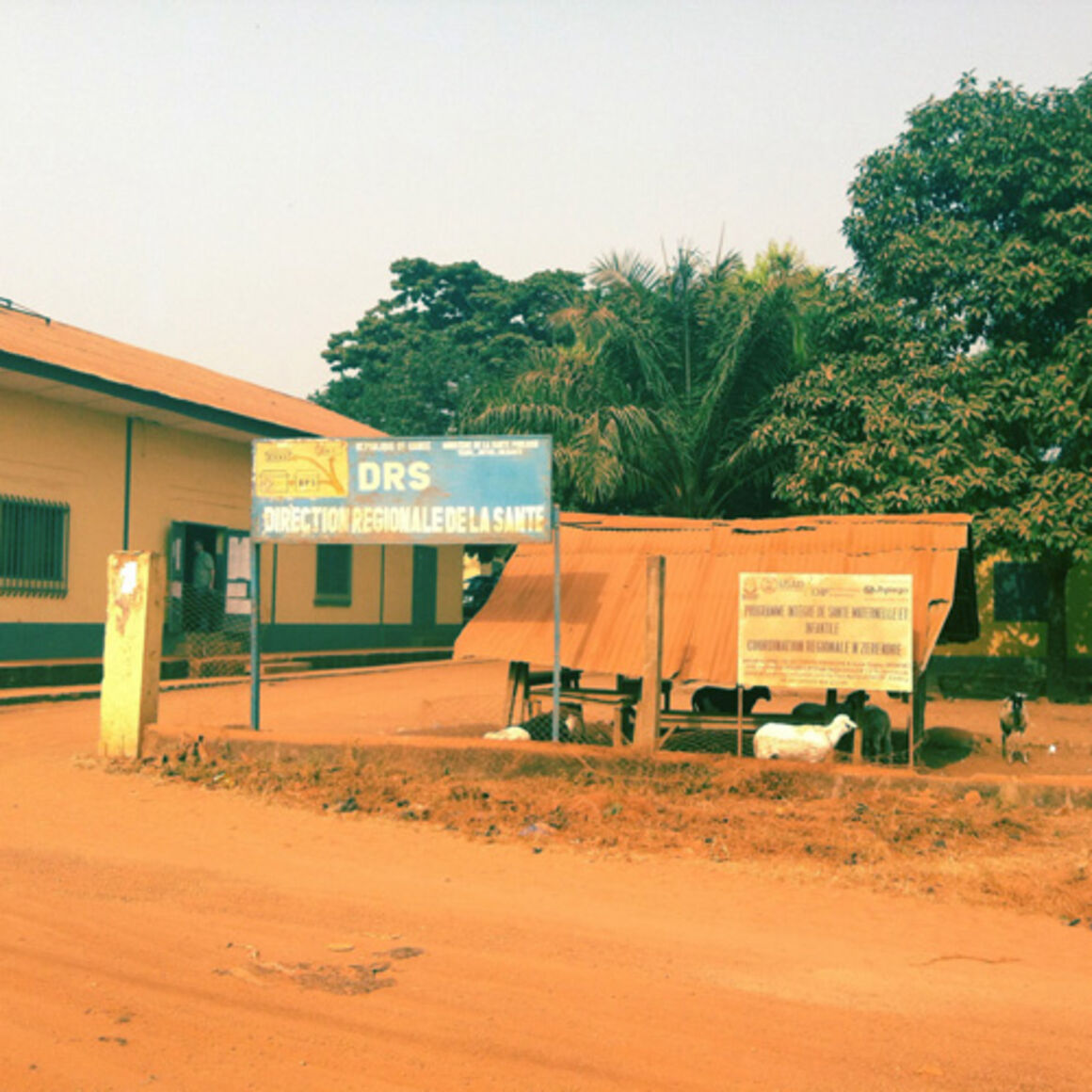 EPIET Postcard from the field - Health administrative building in Guinea