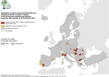 West Nile virus outbreaks among humans and animals, 2021 transmission season