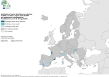 West Nile virus - outbreaks among equids and/or birds, 23 August 2023