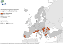 West Nile virus - human cases, 13 September 2023