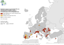 West Nile virus - infections among humans and outbreaks among equids and/or birds, 13 September 2023