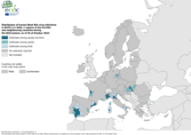 West Nile virus - outbreaks among equids and/or birds, 25 October 2023