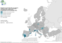 	West Nile virus - outbreaks among equids and/or birds, 6 December 2023