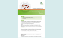 Cover of the cholera AER 2015 Thumbnail