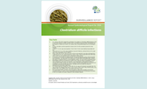 Cover of the C difficile AER for 2016 Thumbnail