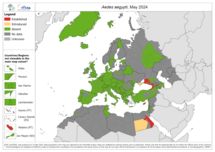 Aedes aegypti - current known distribution: May 2024