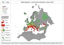 Aedes_albopictus distribution January 2018 Thumbnail