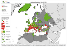 Aedes albopictus - current known distribution: March 2021