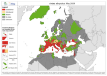 Aedes albopictus - current known distribution: May 2024