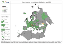 Aedes koreicus - current known distribution: June 2018 Thumbnail