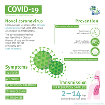 Infographic Covid 19