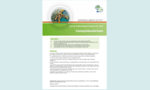 Cover of the Campylobacteriosis AER for 2015 Thumbnail