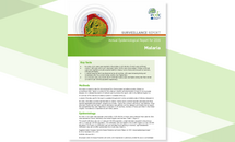 Cover for Malaria Annual Epidemiological Report for 2016 Thumbnail