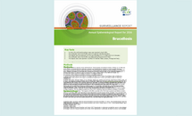 Cover for Brucellosis - Annual Epidemiological Report for 2016 Thumbnail