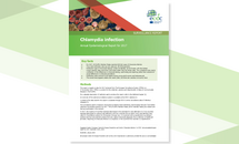 Cover the annual epidemiological report for chlamydia infection for 2017 Thumbnail
