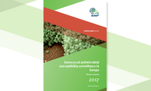 Cover for Gonococcal antimicrobial susceptibility surveillance in Europe, 2017 Thumbnail
