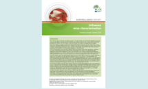 Cover of the flu characterisation report for October 2018 Thumbnail