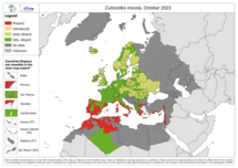 Culicoides imicola - current known distribution: October 2023