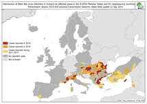 West Nile virus in Europe in 2019 - human cases compared to previous seasons, updated 13 September Thumbnail
