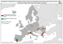 West Nile virus in Europe in 2020 - infections among humans and outbreaks among equids and/or birds, updated 17 September 2020