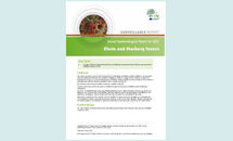Ebola and Marburg fevers - Annual Epidemiological Report for 2015 Thumbnail