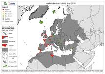 Aedes detritus/Aedes coluzzii - current known distribution: May 2020