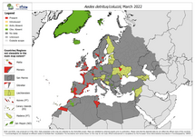 Aedes detritus/Aedes coluzzii - current known distribution: March 2022