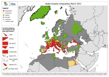 Aedes invasive mosquitoes - current known distribution: March 2021