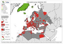 Culex pipiens group - current known distribution: September 2021