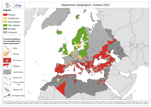 Hyalomma marginatum - current known distribution: October 2023