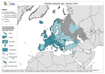 Invasive mosquito spp. - current known surveillance: January 2019 Thumbnail