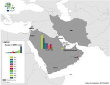 Since the beginning of 2024, and as of 4 March 2024, no MERS-CoV cases have been reported by WHO or  national health authorities. The last reported case was in Saudi Arabia with date of onset on 26 October 2023. 