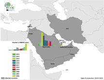 Geographical distribution of confirmed cases of MERS-CoV, by country of infection and year, from April 2012 to June 2023