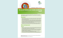 Cover of the bi-annual measles and rubella monitoring report Thumbnail