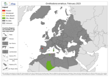 Ornithodorus erraticus - current known distribution: February 2023