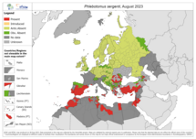 Phlebotomus sergenti - current known distribution: August 2023