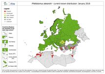 Phlebotomus alexandri - current known distribution in Europe, January 2018 Thumbnail