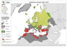 Phlebotomus sergenti - current known distribution: March 2022