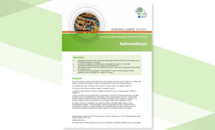 Cover of the Salmonellosis AER for 2016 Thumbnail