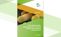 Cover of the report: "Tenth external quality assessment scheme for typing of Shiga toxin-producing Escherichia coli"