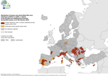 West Nile virus - human and animal infections, 2023 season