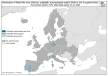 West Nile virus outbreaks among equids and birds, 2020 transmission season