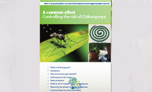 Cover of Chikungunya brochure for the general public Thumbnail