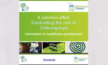 Cover of Chikungunya presentation for healthcare practitioners Thumbnail