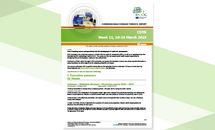 Cover of the report: Communicable Disease Threats Report, 10-16 March 2019 Thumbnail