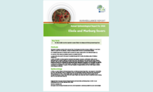 Cover of the Annual Epidemiological Report for Ebola and Marburg fevers for 2016 Thumbnail