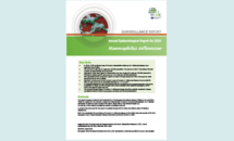 Cover for haemophilus influenzae annual epidemiological report Thumbnail