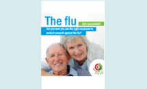 Cover of web banners about influenza for risk groups Thumbnail
