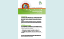 Cover of the Monthly measles and rubella monitoring report, November 2018 Thumbnail