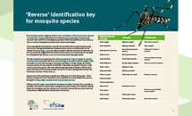 Cover of: ‘Reverse’ identification key for mosquito species